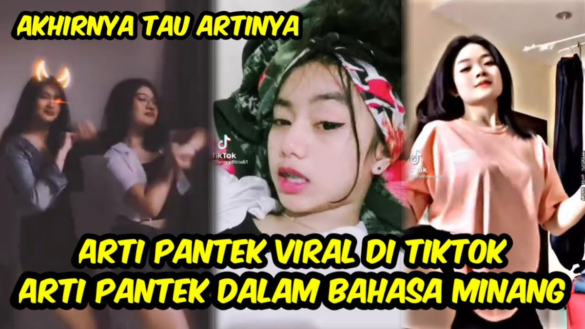 Arti Pantek