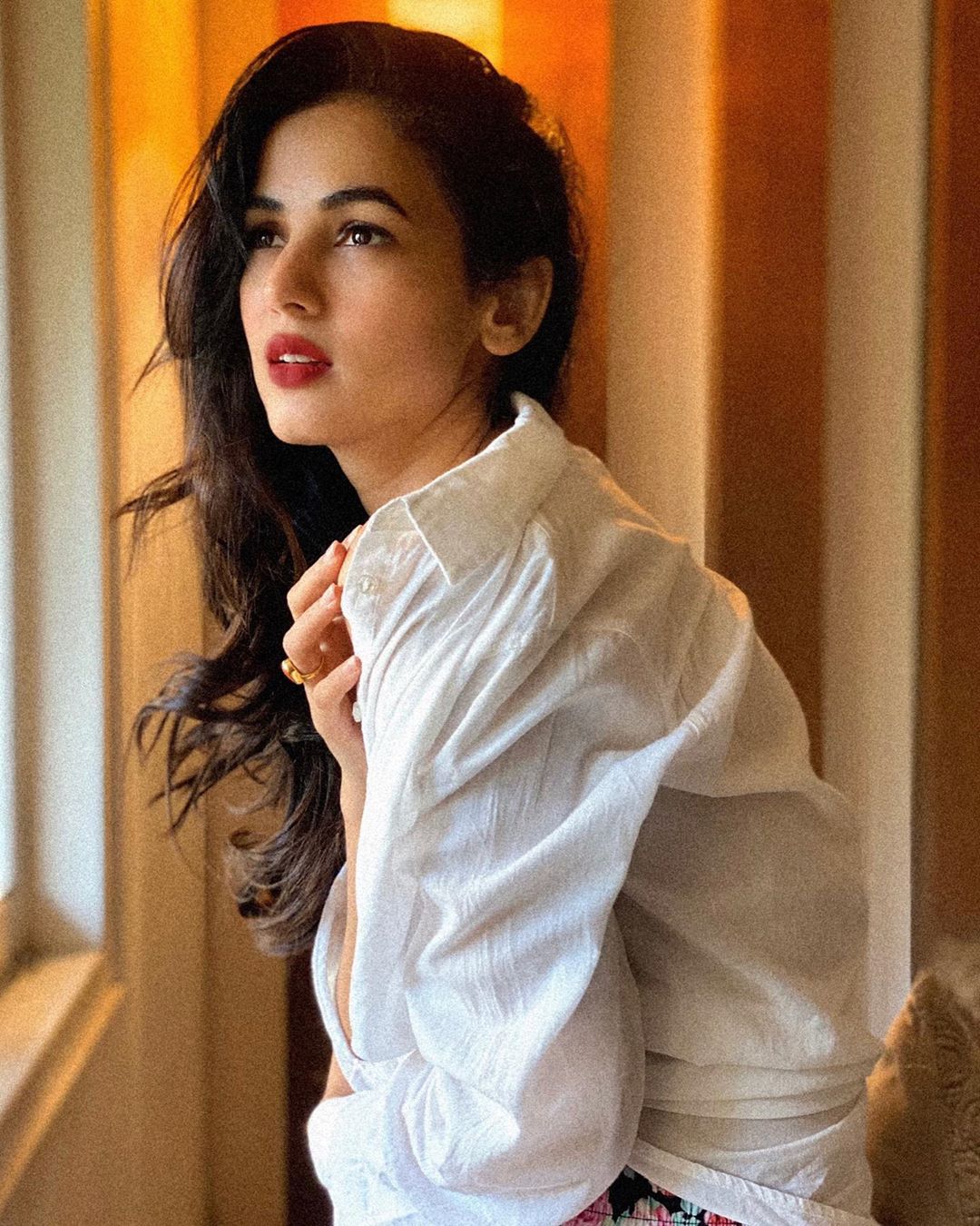 Sonal Chauhan photos wallpaper hot 3